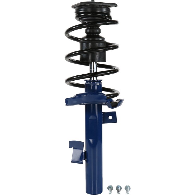 RoadMatic Strut and Coil Spring Assembly