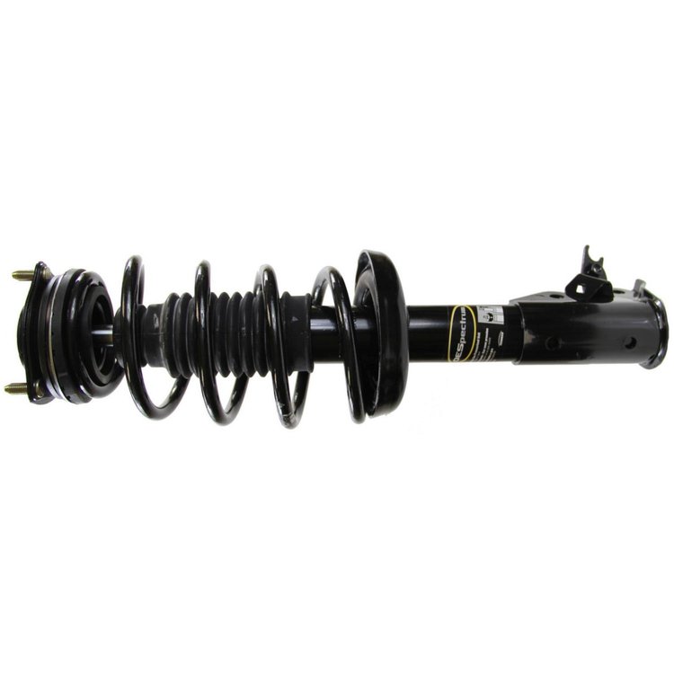 RoadMatic Strut and Coil Spring Assembly