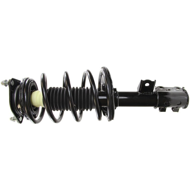 RoadMatic Strut and Coil Spring Assembly