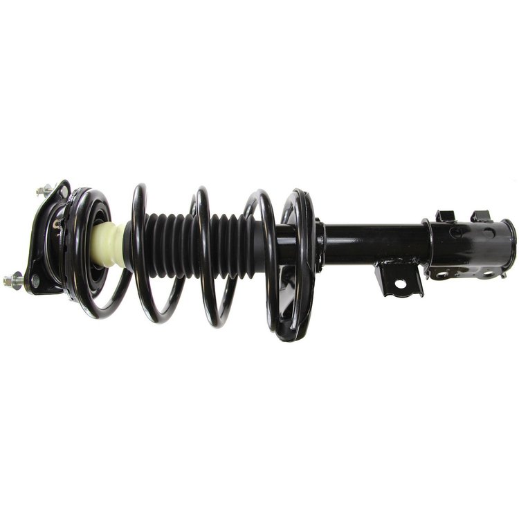 RoadMatic Strut and Coil Spring Assembly