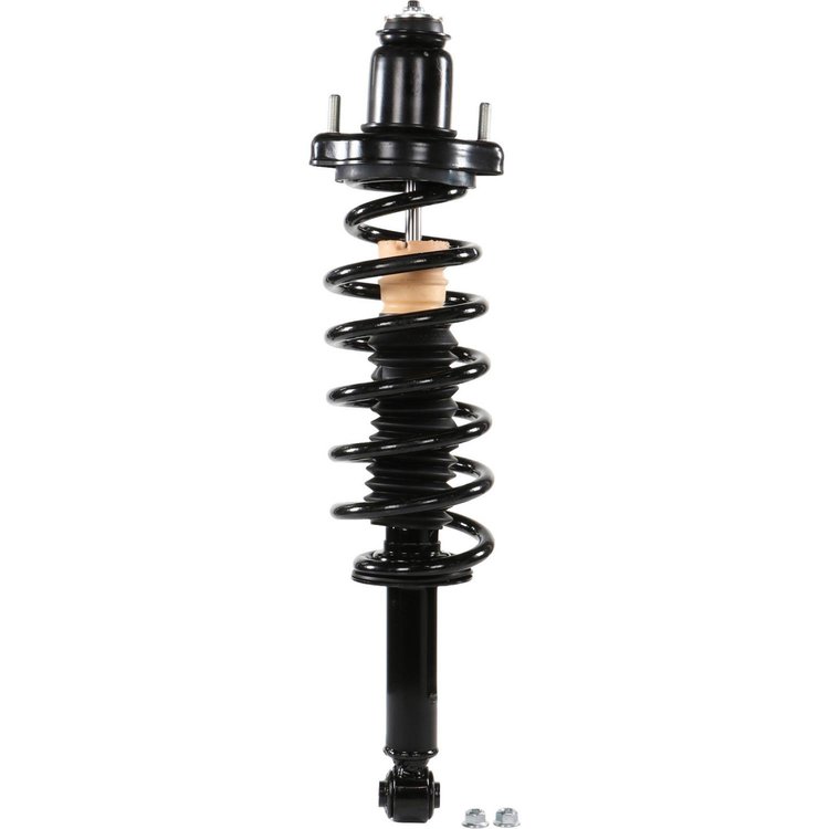 RoadMatic Strut and Coil Spring Assembly