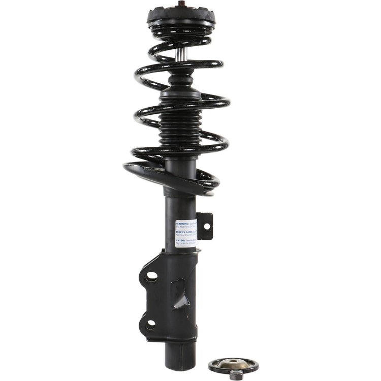 RoadMatic Strut and Coil Spring Assembly