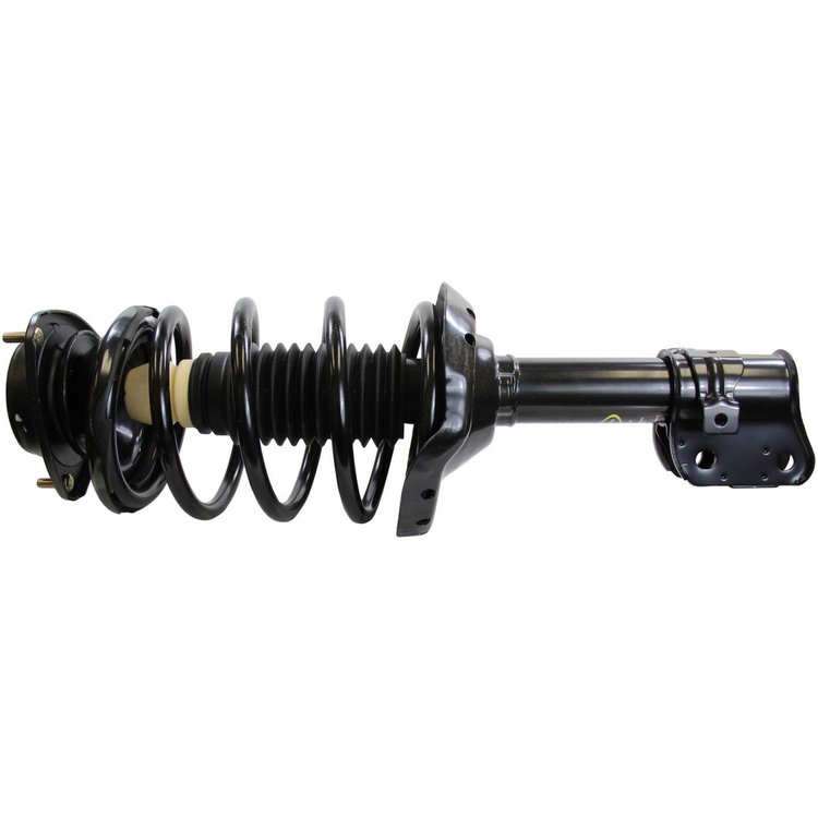 RoadMatic Strut and Coil Spring Assembly