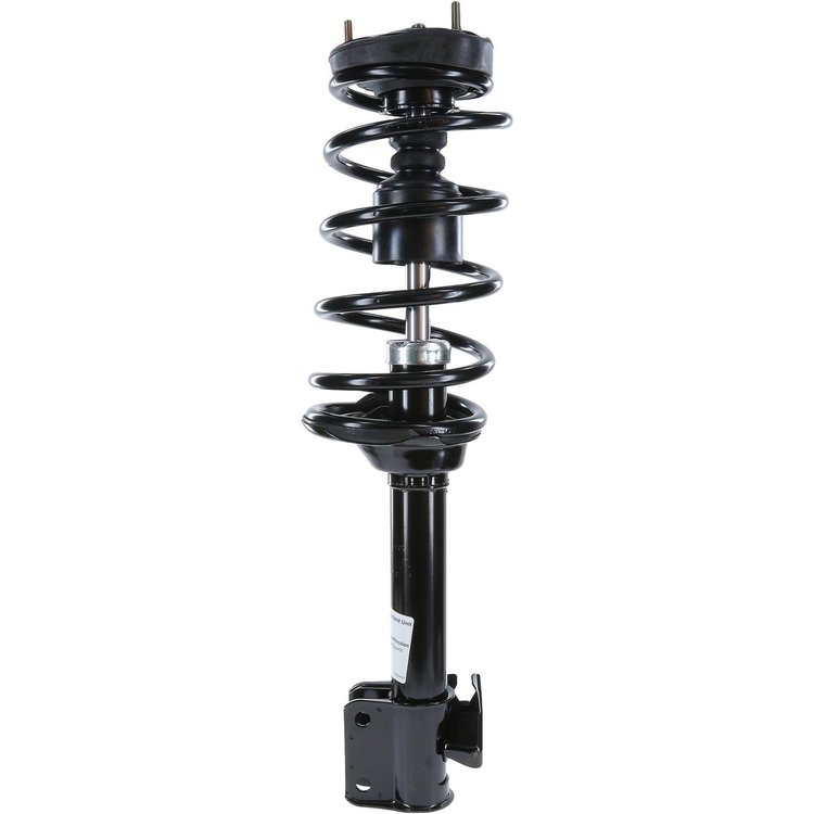 RoadMatic Strut and Coil Spring Assembly