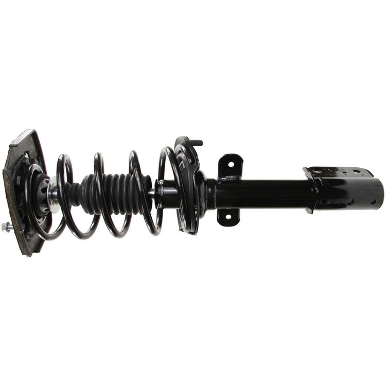 RoadMatic Strut and Coil Spring Assembly