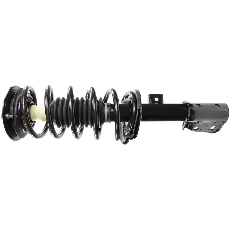 RoadMatic Strut and Coil Spring Assembly
