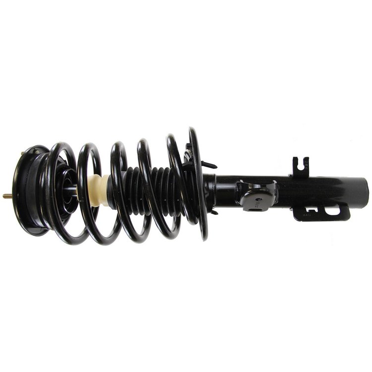 RoadMatic Strut and Coil Spring Assembly