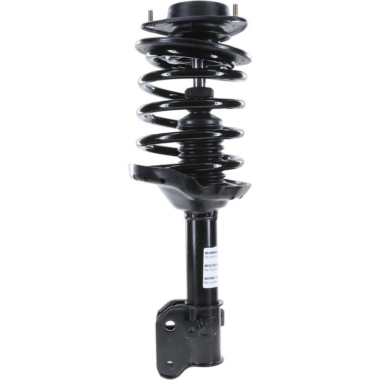 RoadMatic Strut and Coil Spring Assembly