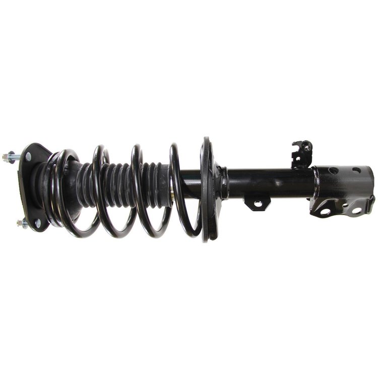 RoadMatic Strut and Coil Spring Assembly