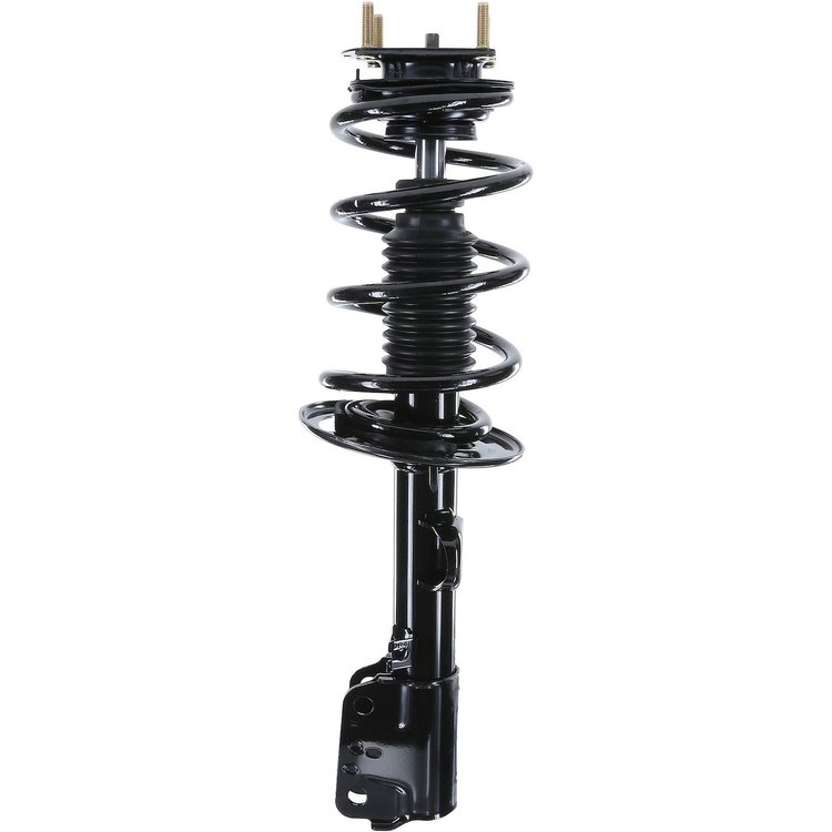 RoadMatic Strut and Coil Spring Assembly