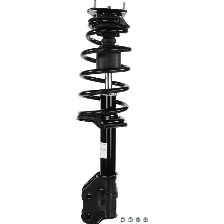 RoadMatic Strut and Coil Spring Assembly