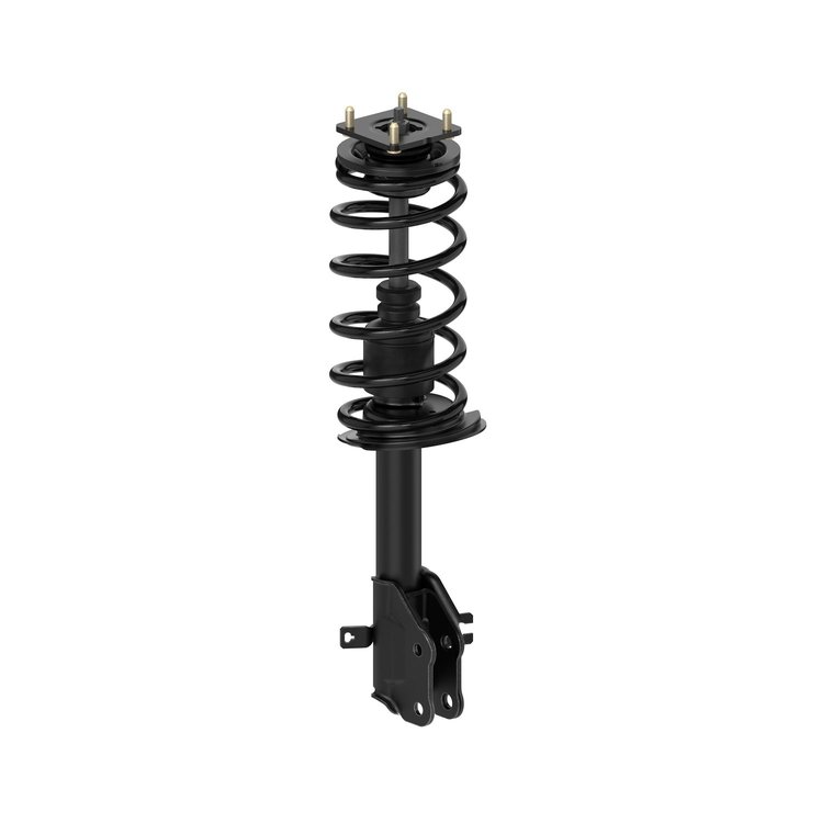Quick-Strut Strut and Coil Spring Assembly