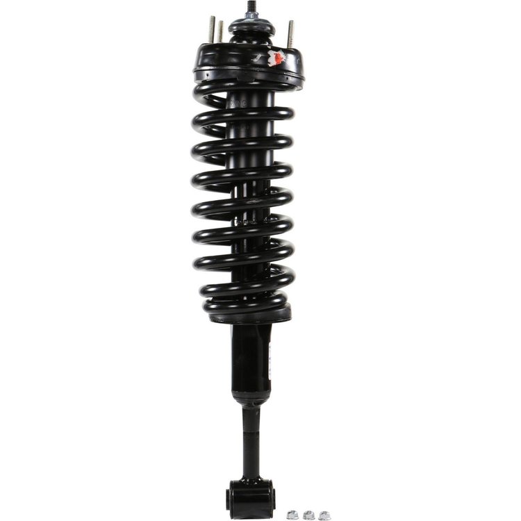 RoadMatic Strut and Coil Spring Assembly