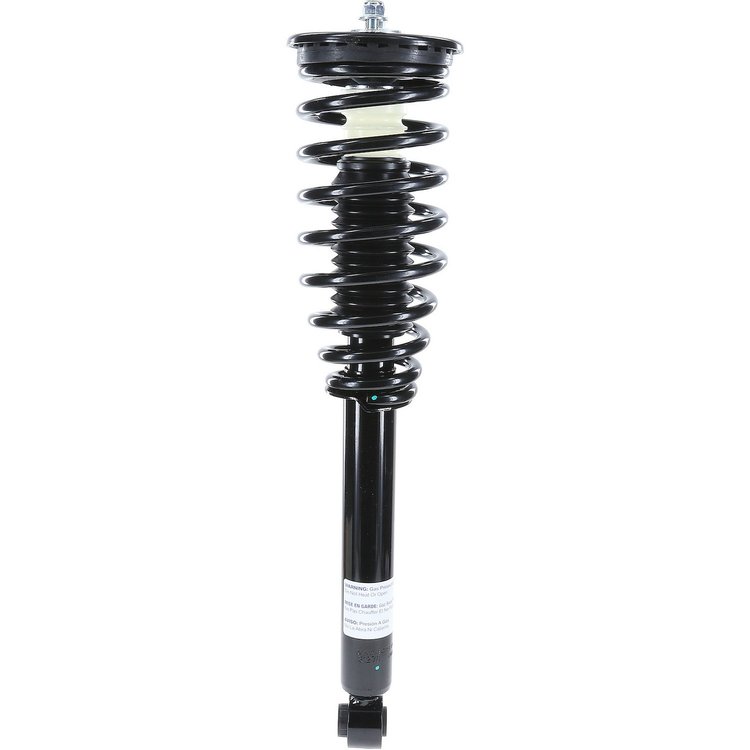 RoadMatic Strut and Coil Spring Assembly