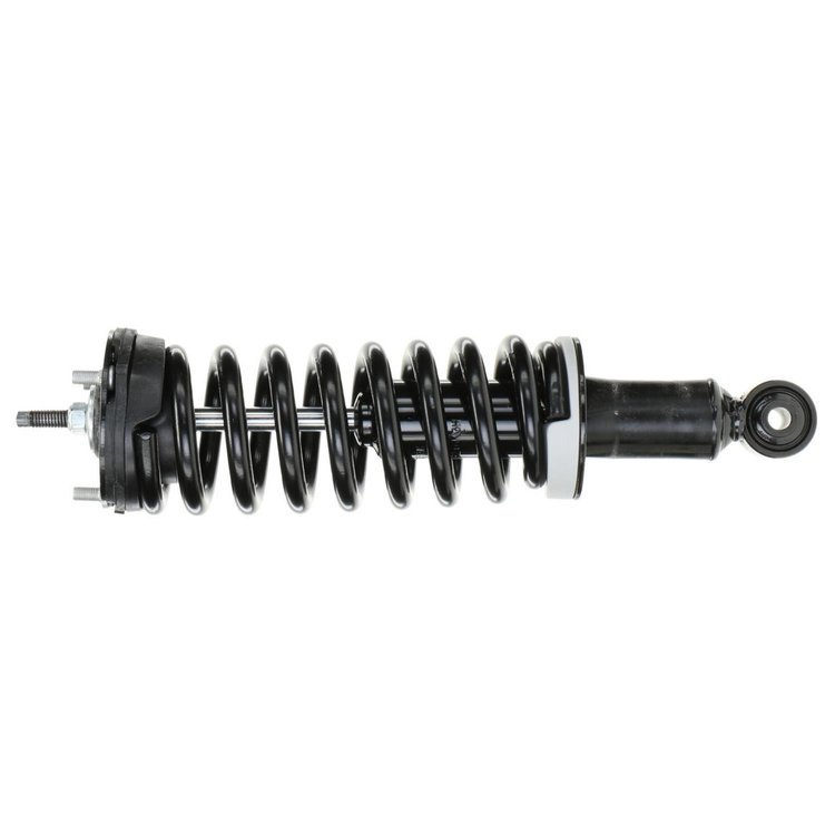 RoadMatic Strut and Coil Spring Assembly