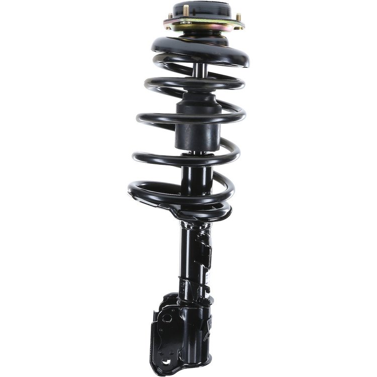RoadMatic Strut and Coil Spring Assembly