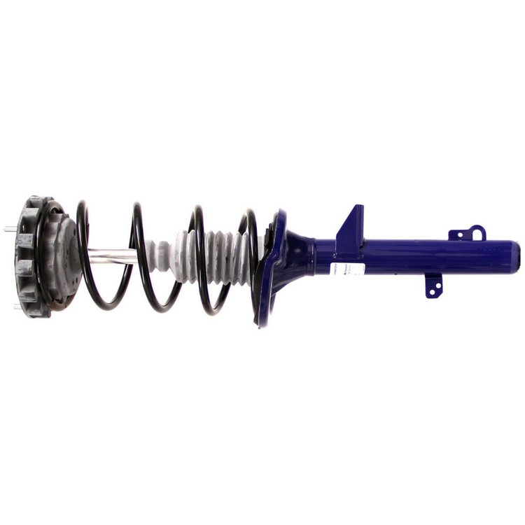 RoadMatic Strut and Coil Spring Assembly