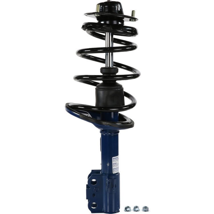 RoadMatic Strut and Coil Spring Assembly
