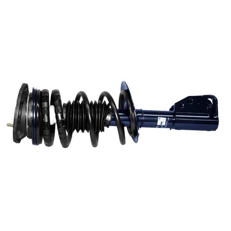 RoadMatic Strut and Coil Spring Assembly