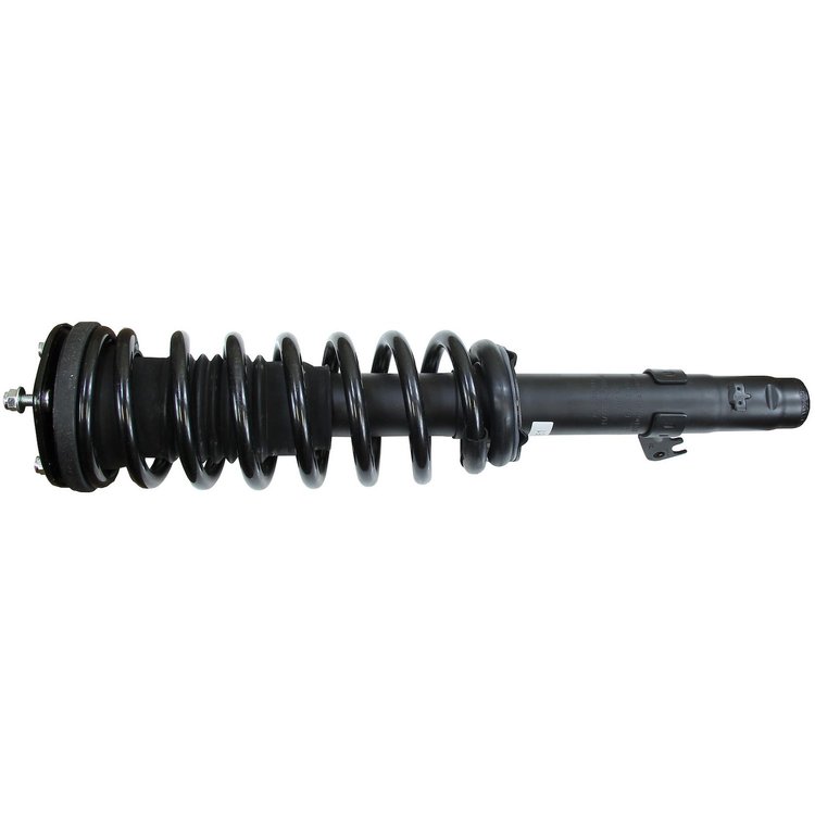 RoadMatic Strut and Coil Spring Assembly