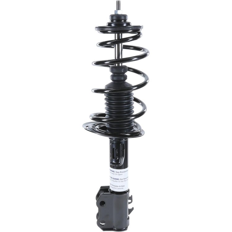 RoadMatic Strut and Coil Spring Assembly