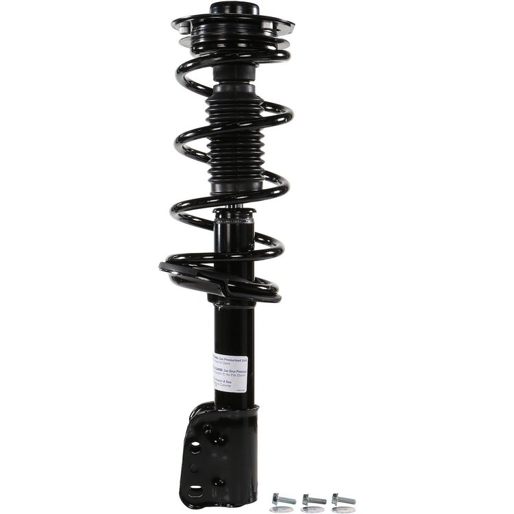 RoadMatic Strut and Coil Spring Assembly