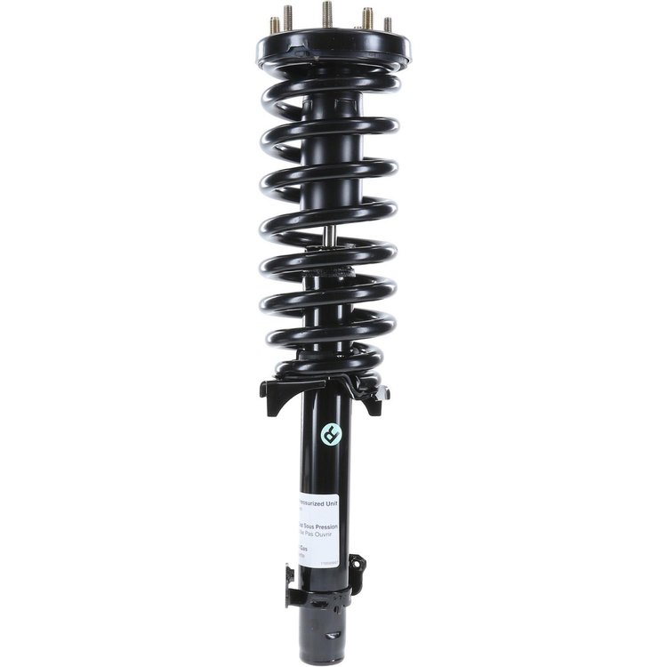 RoadMatic Strut and Coil Spring Assembly