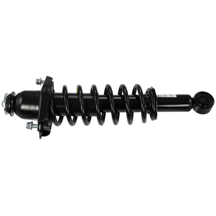 RoadMatic Strut and Coil Spring Assembly