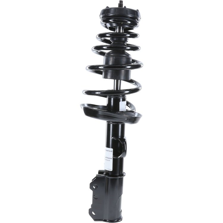 RoadMatic Strut and Coil Spring Assembly