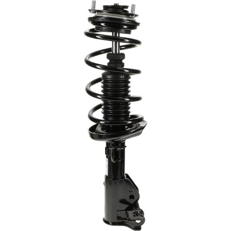 RoadMatic Strut and Coil Spring Assembly
