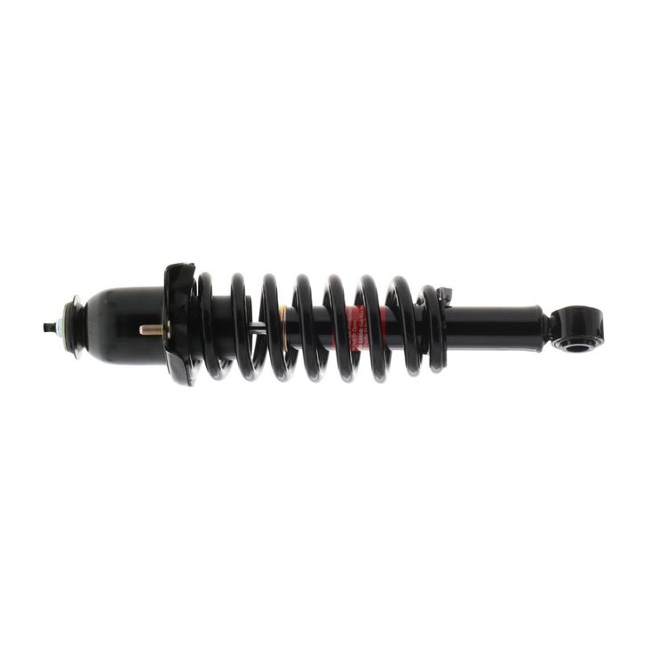 STRUT/COIL ASSM