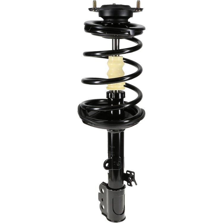 RoadMatic Strut and Coil Spring Assembly