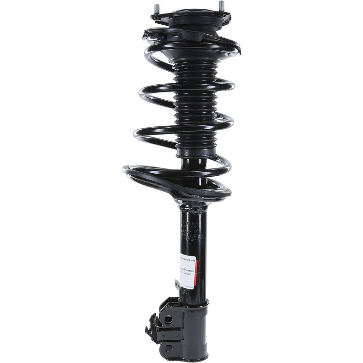 RoadMatic Strut and Coil Spring Assembly