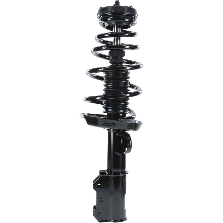RoadMatic Strut and Coil Spring Assembly
