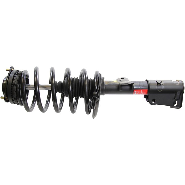 Quick-Strut Strut and Coil Spring Assembly