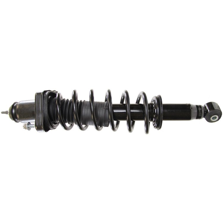 RoadMatic Strut and Coil Spring Assembly