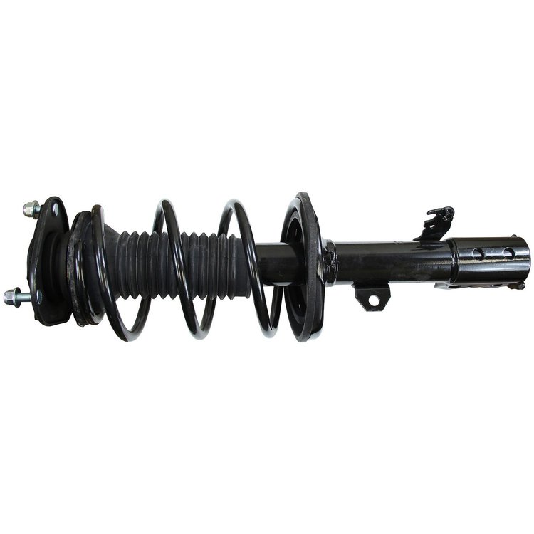 RoadMatic Strut and Coil Spring Assembly