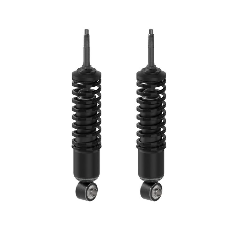Shock Absorber And Coil Spring Assembly<li>Front<li>Set of 2