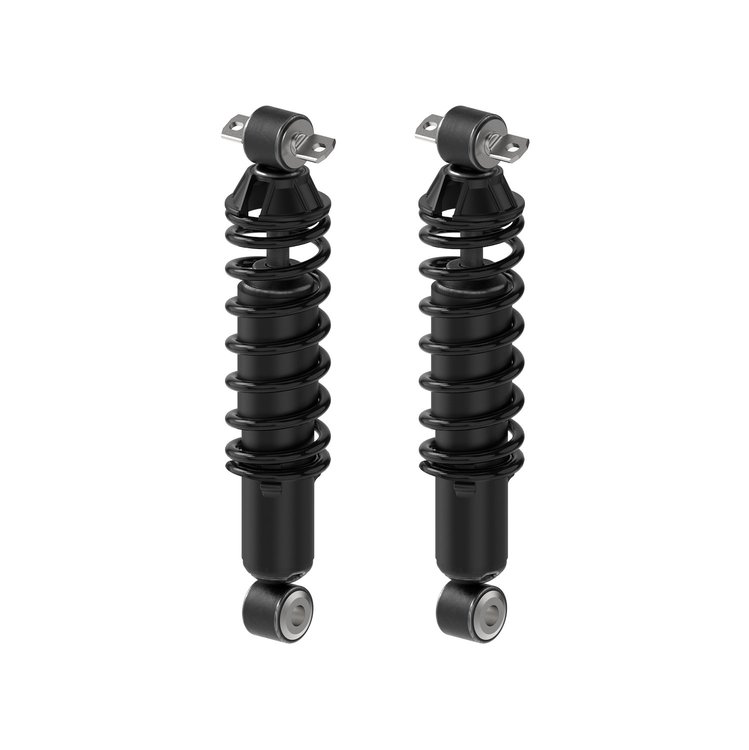 Shock Absorber And Coil Spring Assembly<li>Rear<li>Set of 2