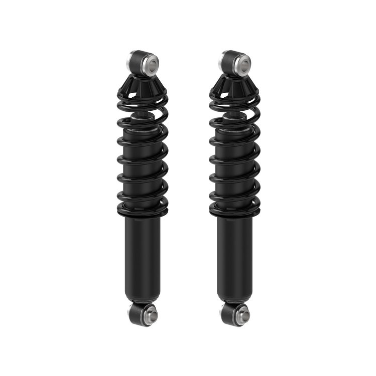 Shock Absorber And Coil Spring Assembly<li>Rear<li>Set of 2