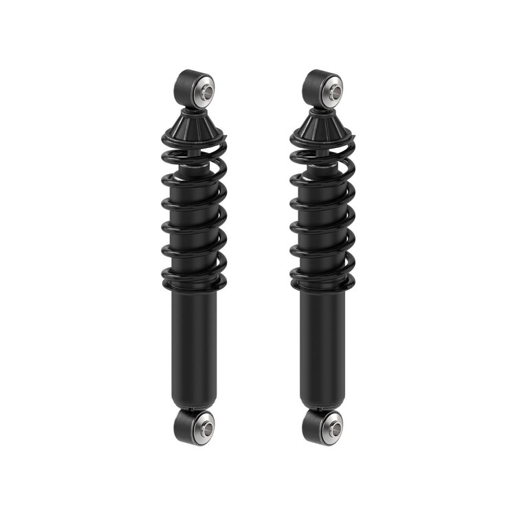Shock Absorber And Coil Spring Assembly<li>Rear<li>Set of 2