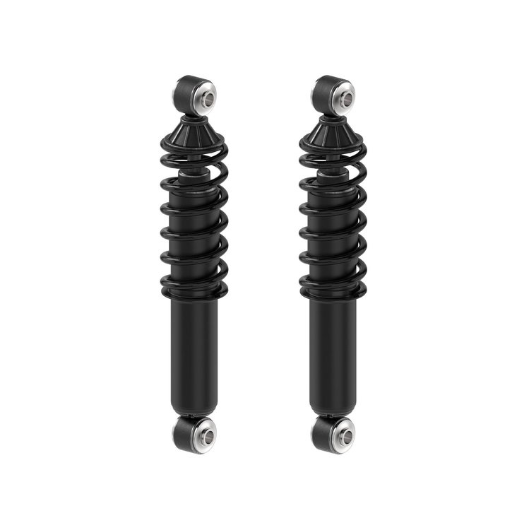 Shock Absorber And Coil Spring Assembly<li>Rear<li>Set of 2