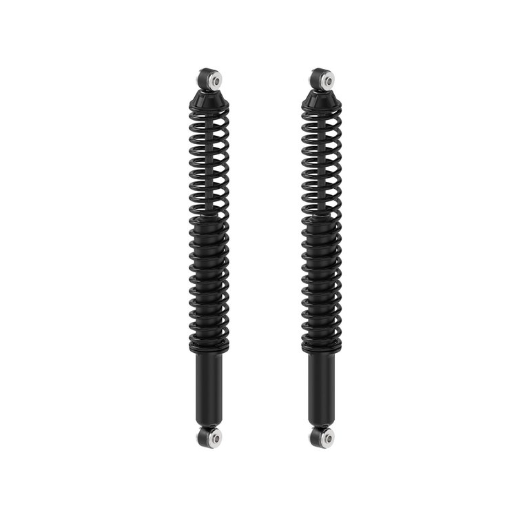 Shock Absorber And Coil Spring Assembly<li>Rear<li>Set of 2