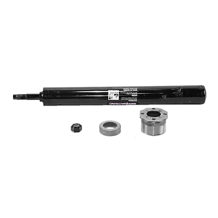 SUSPENSION STRU