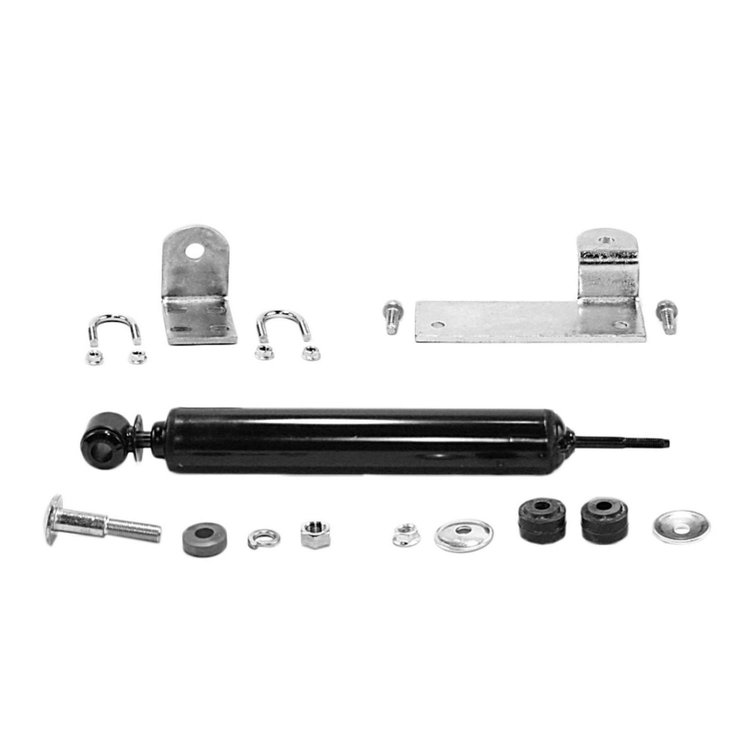 Magnum Steering Damper Kit.