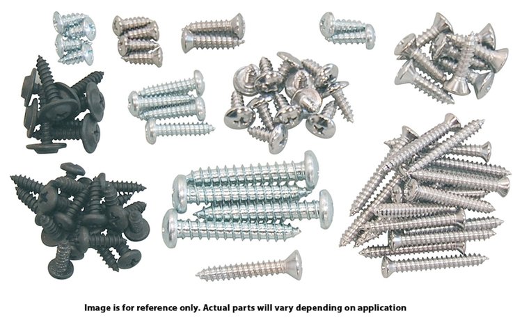 63 Fury Hdtp Interior Trim Screw Set
