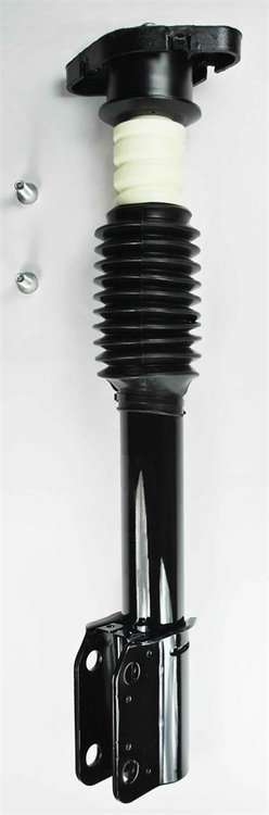 1332313 Suspension Strut and Coil Spring Assembly