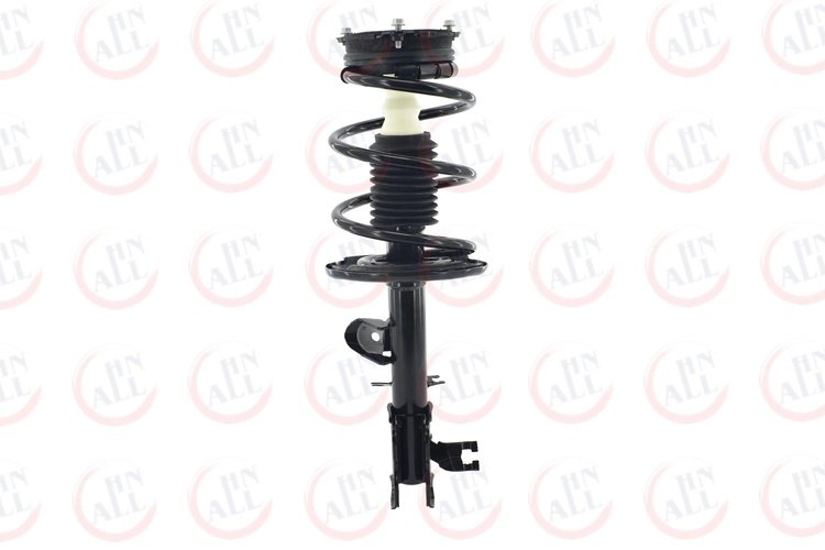 1333564R Suspension Strut and Coil Spring Assembly