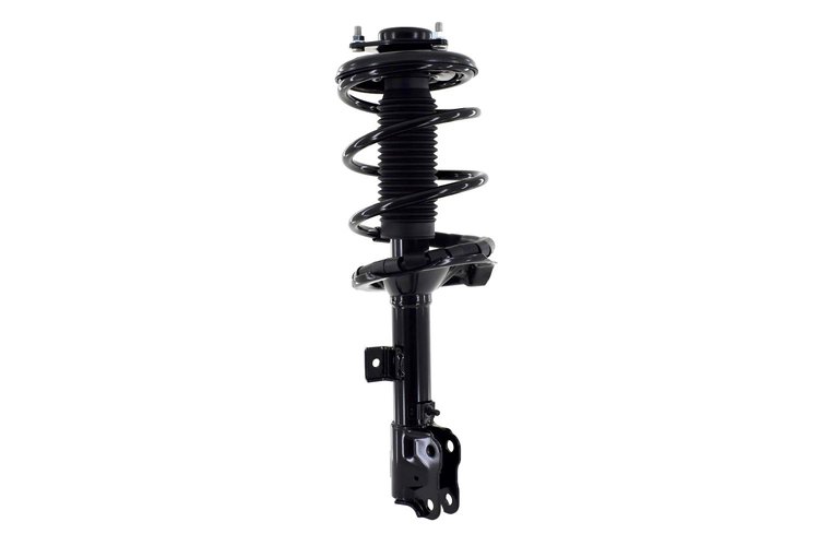 1333825R Suspension Strut and Coil Spring Assembly