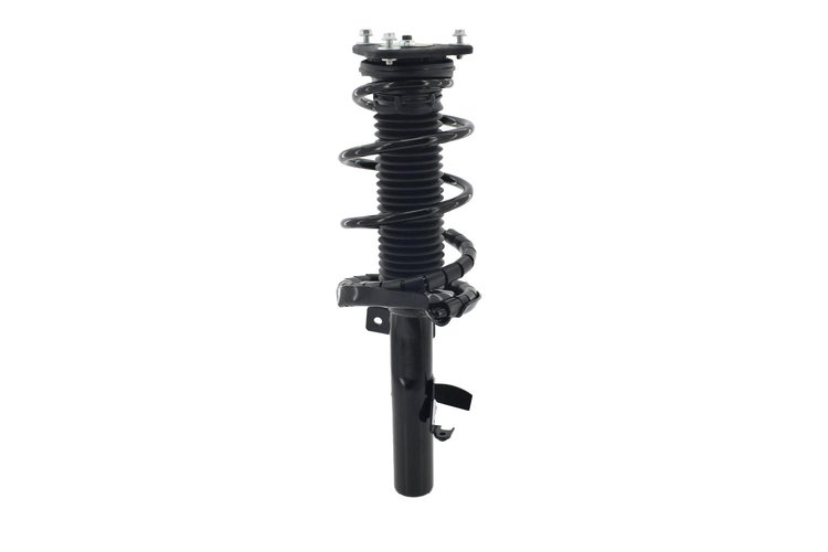 1335894R Suspension Strut and Coil Spring Assembly